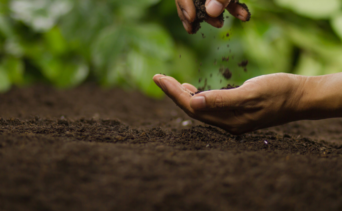 Soil Health